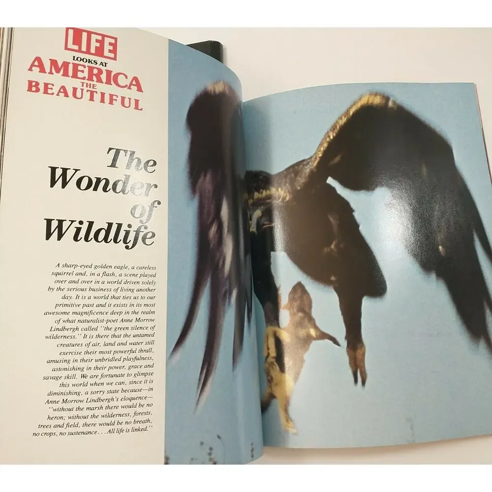 Life Magazine November 1987 MIAs Are Any Still Alive 25 Compelling Cases Vietnam
